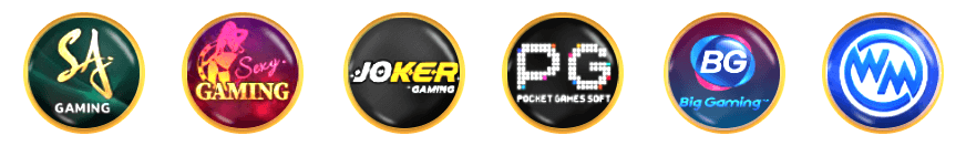 ฮานอยสามัคคี-partner